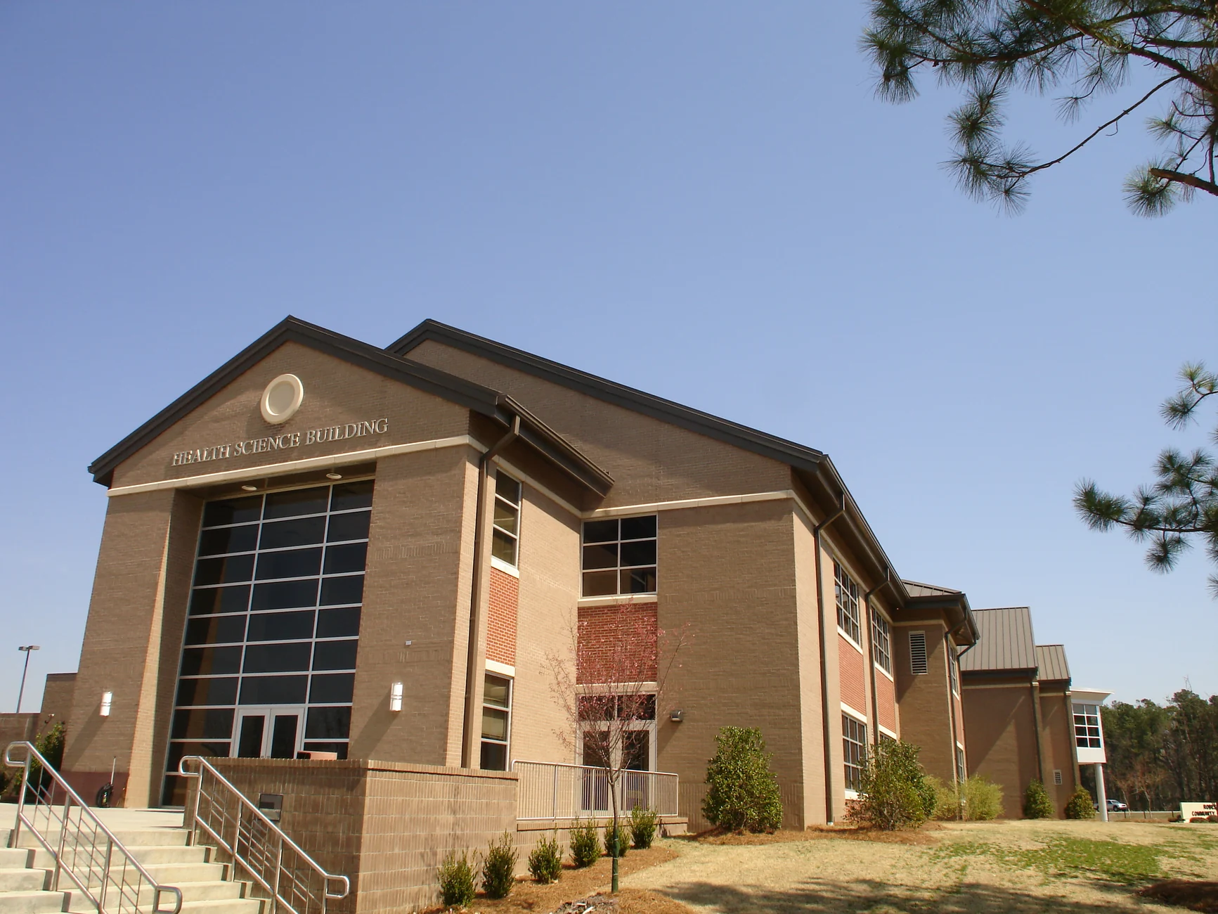 Allied Health